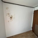 보라매동-12 이미지