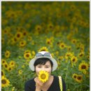 해바라기다방 - 안산시 단원구 | 해바라기다방