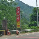 두메산골터줏대감 | [경북 문경] 돼지석쇠구이, 칼국수 현지인 맛집추천 '두메산골'