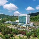 2021년치매 극복의 날 기념행사 이미지