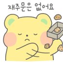 만나명품돼지 이미지