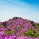 허브밸리(전망대) 이미지