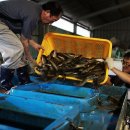 조은수산 이미지