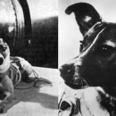 아프지말게 동물병원 이미지