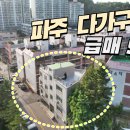 파주시 금릉동 다가구주택 급매 5억5천만원 이미지