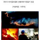 천안시파크골프협회 산불피해 이웃돕기성금 이미지