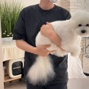 각하농장 이미지