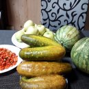 정감이간다 이미지