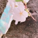 (주)유클로버