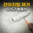 돌돌이네 | 강아지털제거 돌돌이 추천 내돈내산 후기