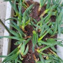 삼동농장 이미지