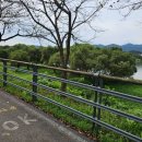 양강섬예술축제 | [경기도 양평군] 양강섬예술축제