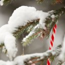 링스토리 이미지