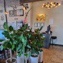 뉴욕본스테이크 이미지