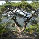 월영산모텔 이미지