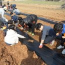 남창초등학교 이미지