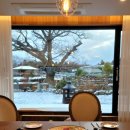 낙천서가 이미지