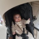 베이비플러스 대구점 이미지