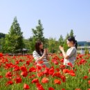 농업테마파크 이미지