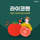 토마토 속 '라이코펜' 효능, 전립선에도 좋아 이미지