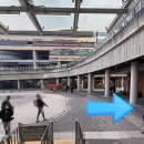 대규 | 문정역 점심 혼밥, 잇쇼니라멘 내돈내산 대규덮밥 아쉬운 후기