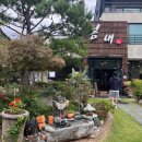 봄의 선물_제주 밥상 이야기 이미지