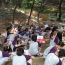 태랑초교 이미지