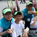 지에스대전산단 이미지