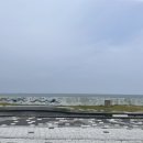 진리해변 네이버블로그