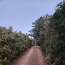 죽산축산 이미지