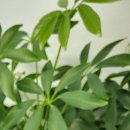 강서내과의원 이미지