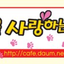 백호켄넬 이미지