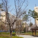 압구정-106 이미지