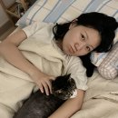 멍글멍글 이미지