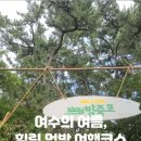 방죽포해수욕장(송림) 이미지