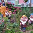 청해어린이집 이미지