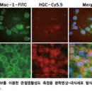 경북대학교 의학전문대학원 이미지