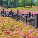 초막골 생태공원 이미지