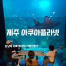㈜대양 | 제주 아쿠아플라넷 할인 꿀팁과 새로 단장한 오션아레나 공연 후기!
