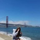 음악이야기/If you're going to San Francisco 이미지