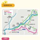 구례군청 | [축제/전남/구례] 2026년 구례 '산수유 축제' 시작 전날 후기|축제정보|주차장|화장실|꿀팁