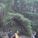 자연생활의집청도 이미지