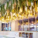 큐티펫살롱 이미지