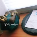 안덕면 명상 이미지