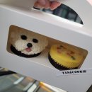 탄앤쿠키 이미지