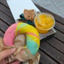 성수 팝업 갔다가 반해버린 베이글, 알고 보니 영등포 맛집이었어요 (테디스베이글 후기)