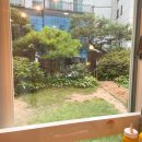 호천식당 | 연희동 맛집 메밀 막국수와 숯불 불고기 전문점 호천식당