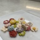 데일리로(DailyRo) 이미지