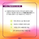 플랜비마케팅