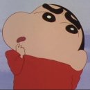 유성수입 이미지